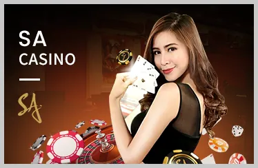 Ưu đãi hấp dẫn và chương trình VIP